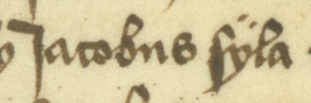 Fragment dokumentu wydanego w 1454 roku w Kazimierzu, w którym rajcowie, z Jakubem Sylą w składzie, potwierdzili, że
Andrzej Garbek sprzedał Piotrowi Czarnemu starszemu (nr 99) i jego żonie Małgorzacie ogród na Blechu pod warunkiem,
że nowy właściciel będzie płacił czynsz roczny w wysokości 1 grzywny na rzecz rady miejskiej, a 1 grzywnę kościołowi św. Stanisława
na Skałce; ponadto rajcy dodali wówczas Piotrowi kawałek zarośli nad Wisłą, w sąsiedztwie kupionego ogrodu –
zbliżenie zapisu imienia (Archiwum Narodowe w Krakowie, sygn. perg. 248)