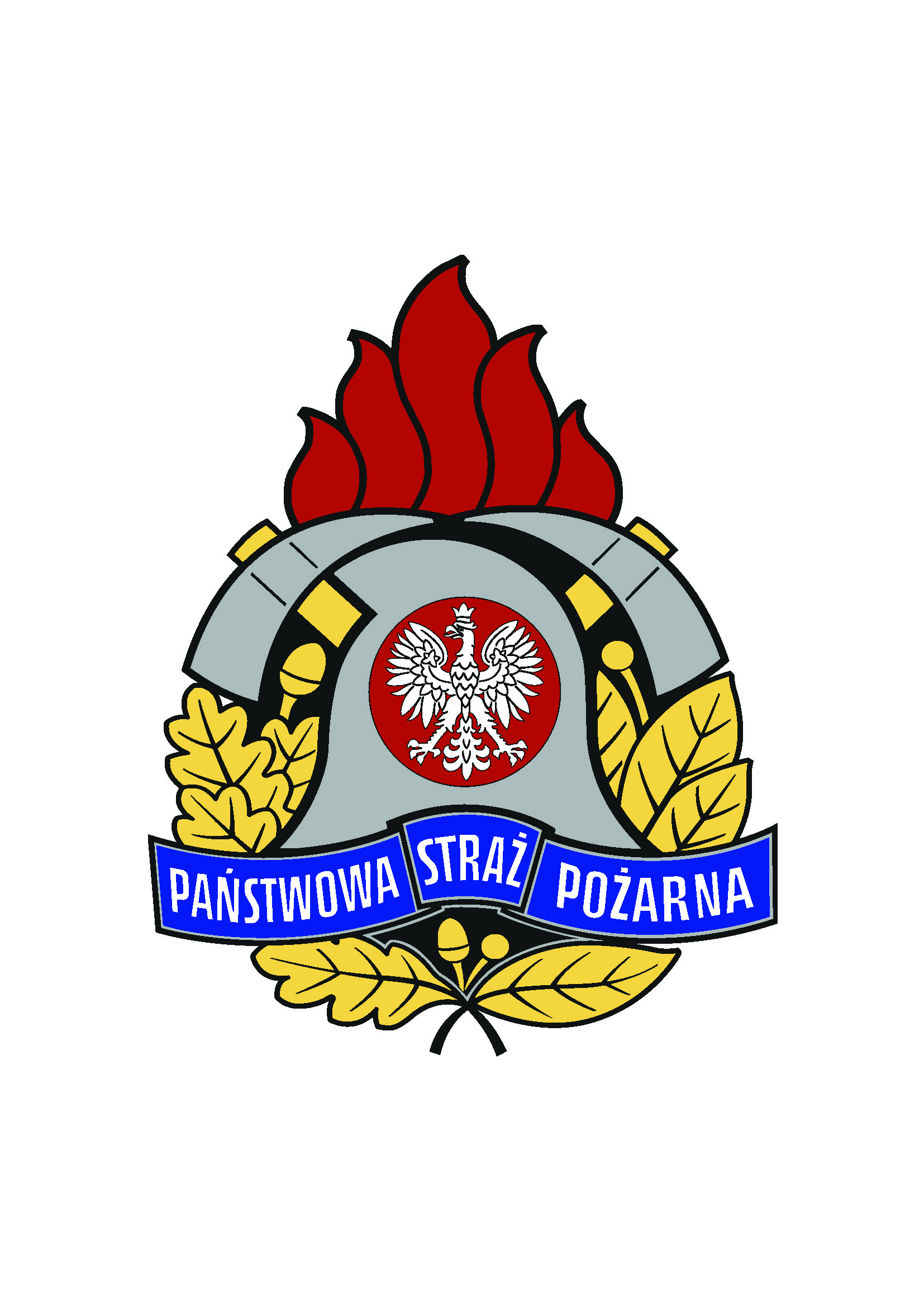 Miejska Państwowa Straż Pożarna w Krakowie