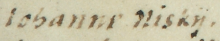 Fragment dokumentu wydanego w 1563 roku w Piotrkowie, w którym Zygmunt August potwierdził i powtórzył siedem
wcześniejszych dokumentów dotyczących pól i łąk we wsi Czyżowa, w tym akt wydany w 1439 roku w Kazimierzu, mocą
którego rajcowie kazimierscy, z Janem Niskim w składzie, potwierdzili, że Katarzyna, wdowa po Wojciechu Czipce, wraz
z córką Małgorzatą przekazały pół łanu we wsi Czyżowa cechowi piwowarów kazimierskich – zbliżenie zapisu imienia
(Archiwum Narodowe w Krakowie, sygn. Aug. perg. 209)