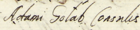 Z księgi radzieckiej Kazimierza obejmującej lata 1638–1641: wpis dokumentujący wybór rady urzędującej na rok 1641,
z Andrzejem Jasowskim (nr 295) powołanym na miejsce w radzie zwolnione po śmierci Adama Gołąba – oraz zbliżenie
zapisu imienia i urzędu (Archiwum Narodowe w Krakowie, sygn. K 40, s. 568)