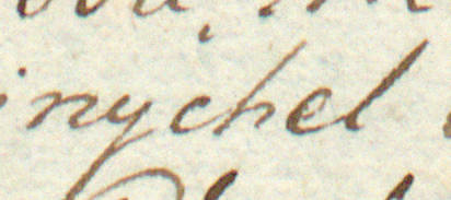 Z kopiarza przywilejów: fragment wpisu przywileju dotyczącego jeziora położonego we wsi Zabłocie,
którego udzielili rajcowie kazimierscy, z Michałem w składzie – oraz zbliżenie zapisu imienia
(Biblioteka Jagiellońska, sygn. rkps 136, s. 14)