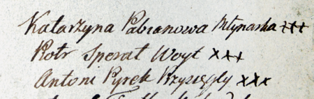 (Archiwum Bazyliki Mariackiej w Krakowie, sygn. Vol. XII, Real. Archipr.)