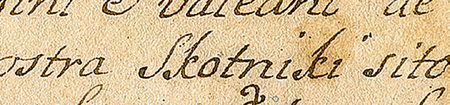 Strony verso i recto dokumentu wystawionego w 1757 roku w Krakowie, mocą którego król August [Sas] pozwolił pisarzowi
wielkorządowemu zamku krakowskiego Stanisławowi Rysiewiczowi i jego żonie Klarze ustąpić przysługujące im prawo na
puste grunty zwane Karczma albo Koczwarówka we wsi Skotniki na rzecz Błażeja i Elżbiety Gargulowskich, małżonków,
którzy wraz z synem Stanisławem będą mogli dzierżyć je dożywotnio – oraz powiększenie zapisu nazwy wsi „Skotniki”
(Zakład Narodowy im. Ossolińskich we Wrocławiu, sygn. perg. BO nr 383)