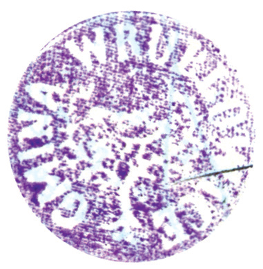 (1927)
Odciski pieczęci urzędowych Wróblowic
z lat 1889 i 1927, pieczęci dominium
wróblowickiego z roku 1847 oraz pieczęci
zakonu oo. augustianów w Kazimierzu,
długotrwałych właścicieli wsi Wróblowice
(Archiwum Narodowe w Krakowie,
sygn. 29/465/1433, nlb.;
sygn. 29/286/61, nlb.; sygn. K. Krak. op. 147,
s. 22; sygn. Aug. 124, s. 341)