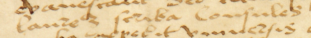Dokument wydany w 1533 roku w Kleparzu, mocą którego rajcy kleparscy urzędujący i starzy, z nowo wybranym rajcą
Janem z Koszyczek w składzie, zatwierdzili postanowienia statutu cechu krawców kleparskich; dokument ten spisał własnoręcznie
Jan z Koszyczek jako pisarz miejski, ustępujący z tego urzędu w związku z wyborem do rady miejskiej –
oraz zbliżenie własnoręcznego podpisu z imieniem, przydomkiem „bakałarz”, funkcją pisarza „scriba” oraz urzędem rajcy
(Archiwum Narodowe w Krakowie, sygn. perg. 1130)