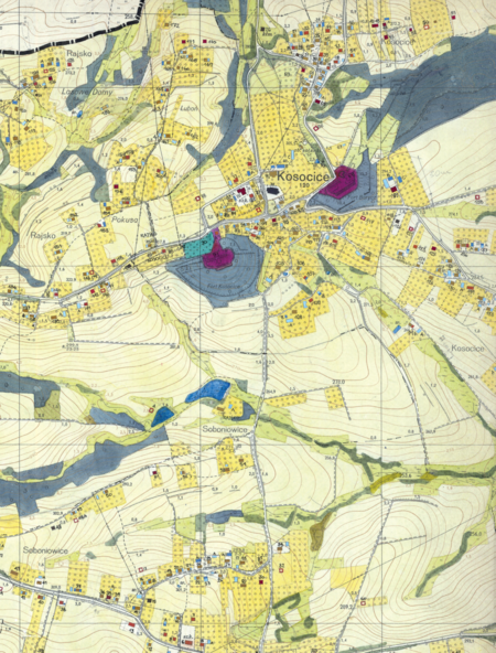 Z dokumentacji Biura Rozwoju Krakowa dotyczący wsi Kosocice fragment sporządzonej w 1968 roku
Inwentaryzacji bezpośredniej użytkowania terenu i budynków dla gromady Rajsko
(Archiwum Narodowe w Krakowie, sygn. 29/1405/2330)