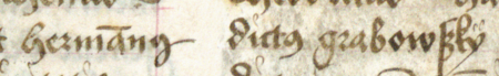 Z Kodeksu Behema, kopiarza praw i przywilejów Krakowa pochodzącego z lat 1500–1508,
wpis, gdzie zostaje wymieniony Herman z Grabowa – oraz powiększenie zapisu imienia
(Biblioteka Jagiellońska, sygn. rkps 16, k. 29v–30)