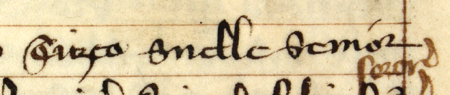 Z „Najstarszej księgi” strona 164 z wpisem z 1344 roku, stwierdzającym, że Tyczko Snelle starszy
oddał połowę swoich dóbr siostrzeńcowi, Tyczkowi Snellemu młodszemu – oraz powiększenie zapisu imienia
(Archiwum Państwowe w Krakowie, sygn. rkps 1, s. 164)