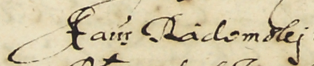 Z księgi miejskiej Kazimierza zawierającej indeks rzeczowy wpisów do kazimierskich ksiąg radzieckich z lat 1530–1603:
fragment kopii wpisu elekcji rady urzędującej na rok 1586; wśród powołanych Stanisław Radomski – oraz zbliżenie zapisu
imienia (Archiwum Narodowe w Krakowie, sygn. K 176, s. 208)