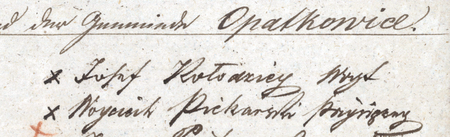 (Archiwum Narodowe w Krakowie, sygn. K. Krak. op. 60, s. 13)