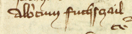 Z księgi ławniczej obejmującej lata 1365–1376 strony 128–129 z wpisem zawierającym wykaz ławników zasiadających podczas
sesji sądowej 8 sierpnia 1371 roku; wśród nich późniejsi rajcowie Jan Bartfal z Bardiowa (nr 129), Jakub de Curia (nr 103)
i Wojciech Fochsczagil – oraz powiększenie zapisu imienia (Archiwum Państwowe w Krakowie, sygn. rkps 2, s. 128–129)