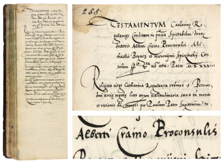 Z księgi testamentów obejmującej lata 1427–1623 strona 258 z wpisem z 1533 roku dotyczącym przyjęcia
przez Wojciecha Krainę, wówczas burmistrza, wraz z rajcami Michałem Bogaczem (nr 340) i Hieronimem Spiczyńskim
(nr 342) zeznania testamentowego złożonego przez Katarzynę Regułę – oraz powiększenie zapisu imienia i funkcji burmistrza
(Archiwum Państwowe w Krakowie, sygn. rkps 772, s. 258)