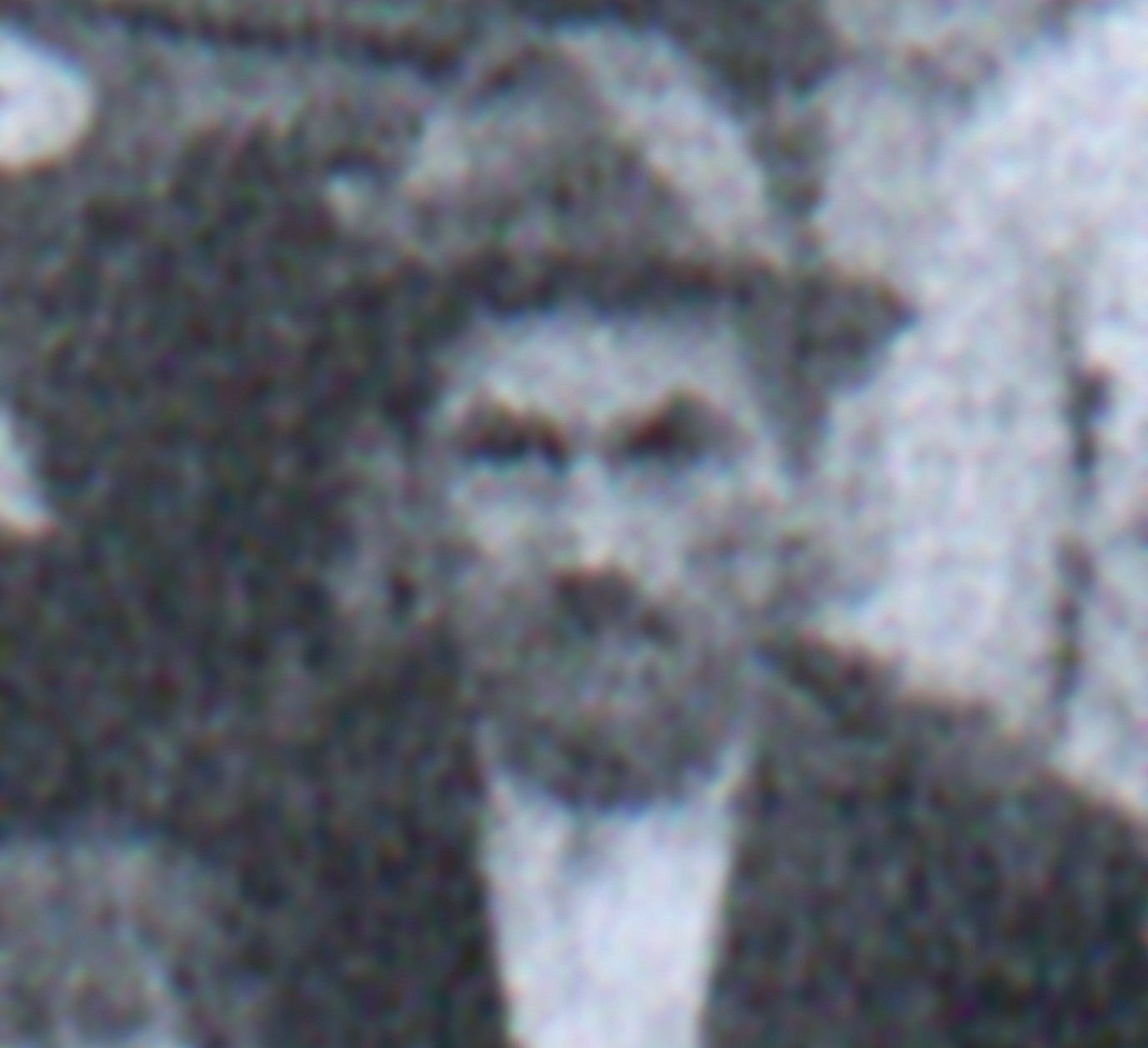 Tomasz Radoszek