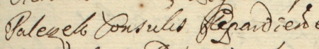Z akt sądowych wielkorządcy krakowskiego obejmujących lata 1665–1682: fragment wpisu z roku 1671
dotyczącego roszczeń Jerzego Hirszmana z Krakowa do majątku spadkowego po zmarłym Andrzeju Paleczku, rajcy kazimierskim
– zbliżenie zapisu imienia i urzędu (Archiwum Narodowe w Krakowie, sygn. Teut. 72, s. 419)