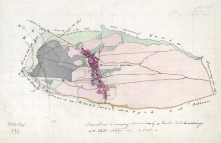 Z Archiwum Wolnego Miasta Krakowa mapa wsi Bronowice Wielkie, w oryginale wyrysowana w 1830 roku przez
Karola Bełcikowskiego, geometrę rządowego, tu w kopii wykonanej przez Teofila Żebrawskiego w 1835 roku
(Archiwum Narodowe w Krakowie, sygn. 29/200/134)