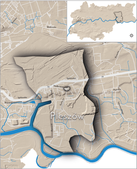 Orientacyjna lokalizacja dawnej wsi Pleszów w obecnych granicach Krakowa – na planie miasta oznaczono jej położenie w kształcie
wyznaczonym granicami jednostki katastralnej, jaką stanowiła, ze wskazaniem najstarszego, historycznego centrum Pleszowa
w rejonie dzisiejszych ulic Nadbrzezie, Suchy Jar, Cementowej i Jezierskiego