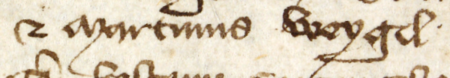 Z księgi ławniczej obejmującej lata 1390–1397 strony 214–215 z wpisem z 1396 roku, stwierdzającym, że w sobotę
po św. Jakubie, to jest 29 lipca, zostali wybrani przez radę miejską ławnicy kolejnej kadencji ławy miejskiej, a wśród nich
Marcin Weygil – oraz powiększenie zapisu imienia (Archiwum Państwowe w Krakowie, sygn. rkps 3, s. 214–215)