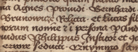 (Archiwum Bazyliki Mariackiej w Krakowie, sygn. perg. 29)