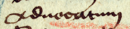 (Archiwum Narodowe w Krakowie, sygn. CC 4, s. 386)