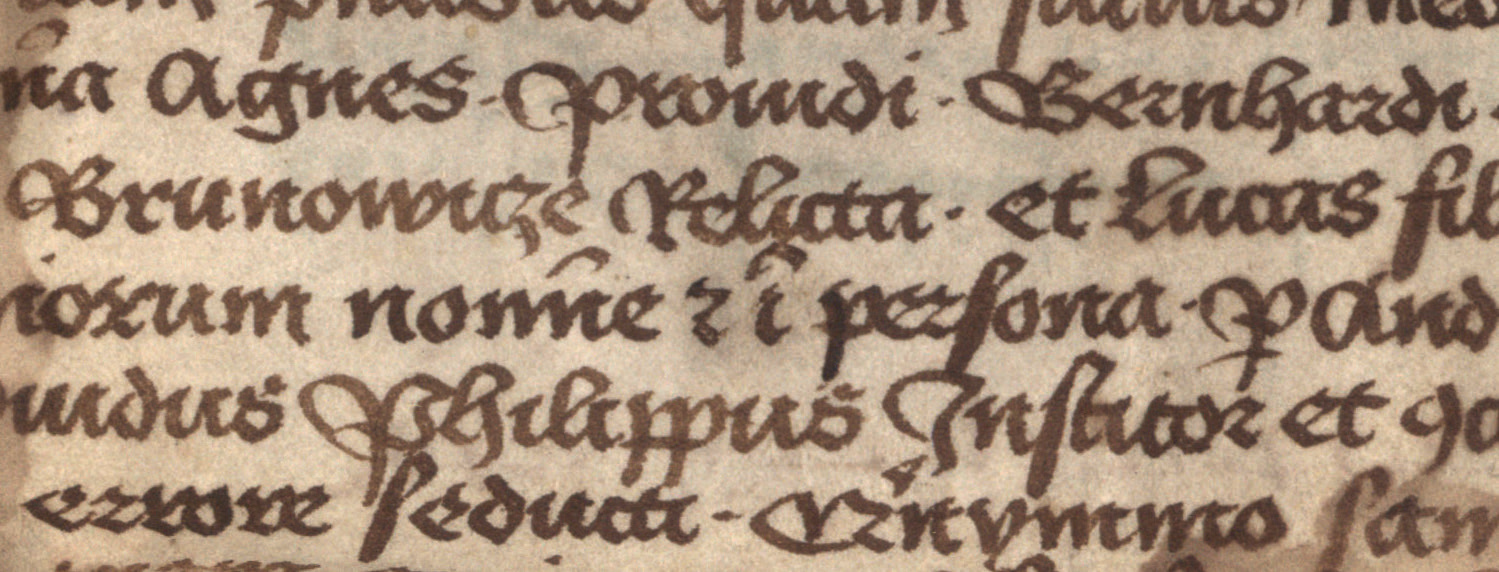 Agnieszka wdowa po Bernardzie z Brzegu