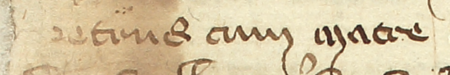 Z księgi radzieckiej Kazimierza obejmującej lata 1385–1386: fragment wpisu dokumentującego
wybór rajców na rok 1386, z rajcą Piotrem cum matre w składzie – oraz zbliżenie zapisu imienia
(Archiwum Narodowe w Krakowie, sygn. K 2, s. 81)
