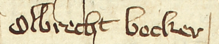 Z księgi radzieckiej Kazimierza obejmującej lata 1385–1386: fragment wpisu dokumentującego
wybór rajców na rok 1386, z Wojciechem (Albertem) Bockerem w składzie – oraz zbliżenie zapisu imienia
(Archiwum Narodowe w Krakowie, sygn. K 2, s. 81)