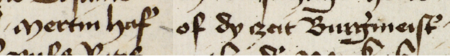 Z księgi radzieckiej obejmującej lata 1450−1483 fragment strony 297 z wpisem z 1462 roku, stwierdzającym, że w poniedziałek
po pierwszej niedzieli Wielkiego Postu Jan młynarz, brat zmarłego Wojciecha, oraz jego żona Małgorzata zeznali
w sprawie dotyczącej nałożonej wcześniej kary pieniężnej. Zeznanie przyjęli: Marcin Hofer, wówczas burmistrz, rajca
Stanisław Morsztyn (nr 232) i wymienieni z imienia pełnomocnicy – oraz powiększenie zapisu imienia i funkcji burmistrza
(Archiwum Państwowe w Krakowie, sygn. rkps 429, s. 297)