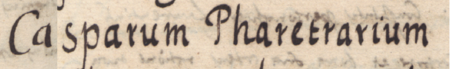 Z Liber inscriptionum… klasztoru oo. Augustianów w Kazimierzu: fragment dokonanego w roku 1681 wpisu
przywołującego wydany w 1438 roku dokument, w którym wójt i ławnicy kazimierscy stwierdzili, że Mikołaj Czipser
(nr 118) swój dom położony obok domu Jana rękawicznika i Kaspra kołczannika w Stradomiu odstępuje Wincentemu kołczannikowi
(nr 122) – zbliżenie zapisu imienia (Biblioteka Naukowa PAU/PAN, sygn. rkps 1676, s. 308v)