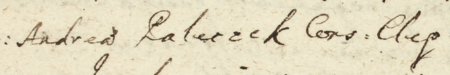 Z księgi wójtowskiej Kleparza obejmującej lata 1649–1653: fragment wpisu z 1652 roku
dokumentującego spór między wdową po rajcy kleparskim Andrzeju Paleczku a ławnikiem kleparskim
Andrzejem Brzygłosem o zobowiązanie zaciągnięte za życia rajcy Paleczka i ekscesy zaszłe przy ściąganiu tego długu –
zbliżenie zapisu imienia i urzędu (Archiwum Narodowe w Krakowie, sygn. KL 11, s. 295)