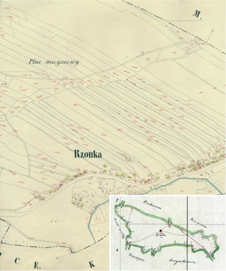 Centralny fragment Rżąki na mapie katastralnej sporządzonej dla gminy katastralnej Rżąka w 1849 roku oraz
pochodzący z 1845 roku plan sytuacyjny z wyrysowanymi granicami gminy Rżąka i lokalizacją gmin sąsiadujących
(Archiwum Narodowe w Krakowie, sygn. K. Krak. 555 II; sygn. K. Krak. op. 135, s. 1)