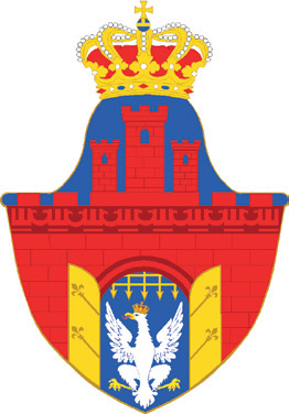 W RZECZYPOSPOLITEJ KRAKOWSKIEJ
(BRAK PROWINCJONALNEGO SZCZEBLA
PODZIAŁU TERYTORIALNEGO)