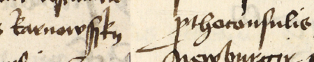 Z księgi testamentów, obejmującej lata 1427−1623 strony 98−99 z wpisem z 1471 roku, stwierdzającym, że Anna,
żona Stanisława Gortlera (nr 269), złożyła zeznanie testamentowe w obecności rajców: Jana Karnkowskiego, wówczas
burmistrza, Jana Wierzynka (nr 247) i Pawła Newburgera (nr 253) – oraz powiększenie zapisu imienia i funkcji burmistrza
(Archiwum Państwowe w Krakowie, sygn. rkps 772, s. 98−99)