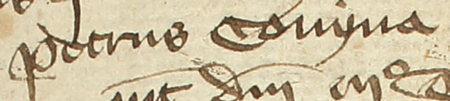 Z księgi radzieckiej Kazimierza obejmującej lata 1391–1402: fragment wpisu
dokumentującego wybór rajców na rok 1397, z Piotrem Koniną w składzie – oraz zbliżenie zapisu imienia
(Archiwum Narodowe w Krakowie, sygn. K 4, s. 313)