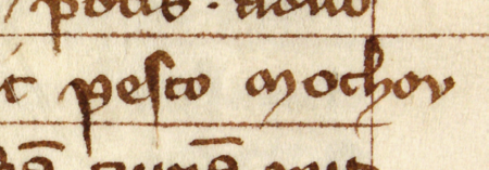 Z „Najstarszej księgi” strona 100 z wpisem z 1332 roku, stwierdzającym, że Paszko z Muchowa dokonał rezygnacji na rzecz
Piotra Chalkowicza z połowy dworzyszcza położonego przy ul. Floriańskiej, koło bramy – oraz powiększenie zapisu imienia
(Archiwum Państwowe w Krakowie, sygn. rkps 1, s. 100)