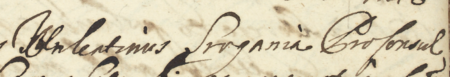 Z księgi wójtowsko-ławniczej Kleparza obejmującej lata 1649–1665: fragment wpisu z 1664 roku dokumentującego sprawę
przed urzędem wójtowsko-ławniczym, z udziałem Walentego Srogani, wówczas burmistrza Kleparza – zbliżenie zapisu
imienia i funkcji (Archiwum Narodowe w Krakowie, sygn. KL 13, s. 288)
