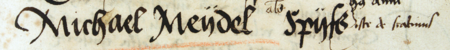 Z księgi radzieckiej obejmującej wpisy z lat 1500–1512 strony 610–611, gdzie znajduje się lista wybranych na rok 1511 rajców
urzędujących z nowo wybranym Michałem Meydlem na ostatnim miejscu – oraz powiększenie zapisu imienia i przydomku
(Archiwum Państwowe w Krakowie, sygn. rkps 431, s. 610–611)