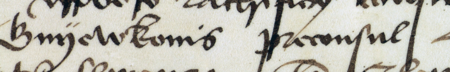 Fragment dokumentu wydanego w 1465 roku w Krakowie, w którym oficjał krakowski Stanisław ze Świeradzic
zatwierdza testament mieszczanina i rajcy kleparskiego Piotra Okszmara (nr 5), otwarty w obecności
rajców kleparskich, wśród nich Stanisława Gniewkonisa – zbliżenie zapisu imienia i funkcji
(Archiwum Uniwersytetu Jagiellońskiego, sygn. dypl. perg. 172)