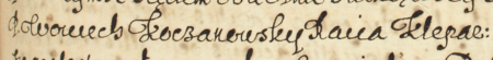 Z księgi ławniczej Kleparza obejmującej lata 1605–1615: początkowy fragment wpisu z 1607 roku
zawierającego skargę na Wojciecha Dąbskiego o obelgi złożoną przez Wojciecha Koczanowskiego, rajcę kleparskiego –
oraz zbliżenie zapisu imienia i urzędu (Archiwum Narodowe w Krakowie, sygn. KL 6, s. 215)