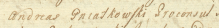 Z księgi radzieckiej Kazimierza obejmującej lata 1720–1742: dokonany w 1726 roku wpis otwierający kolejne posiedzenie
rajców urzędujących, w tym czasie pod przewodnictwem burmistrza Andrzeja Gniatkowskiego – zbliżenie zapisu imienia
i funkcji (Archiwum Narodowe w Krakowie, sygn. K 47, s. 85)