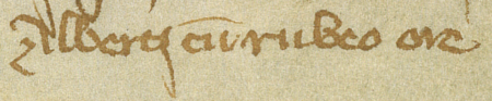 Fragment dokumentu wystawionego w 1366 roku w Kazimierzu, mocą którego rajcy kazimierscy,
wśród nich Albertus, wydzierżawili Janowi z Merkilsdorfu parcelę położoną na gruntach zwanych Bawół,
za kościołem św. Wawrzyńca – zbliżenie zapisu imienia
(Archiwum Narodowe w Krakowie, sygn. perg. 45)