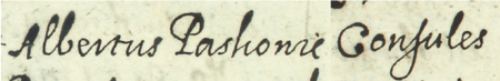 Z księgi wójtowskiej Kleparza obejmującej lata 1611–1617: fragment wpisu z 1615 roku dotyczącego sprawy z udziałem
Wojciecha (Albertusa) Paskowicza, rajcy kleparskiego, występującego tu w roli prowizora szpitala św. Floriana w Kleparzu –
zbliżenie zapisu imienia i urzędu (Archiwum Narodowe w Krakowie, sygn. KL 10, s. 629)
