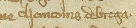 Fragment dokumentu wystawionego w 1366 roku w Kazimierzu, mocą którego rajcy kazimierscy,
wśród nich Nemco z Brzegu, wydzierżawili Janowi z Merkilsdorfu parcelę położoną na gruntach zwanych Bawół,
za kościołem św. Wawrzyńca – zbliżenie zapisu imienia
(Archiwum Narodowe w Krakowie, sygn. perg. 45)