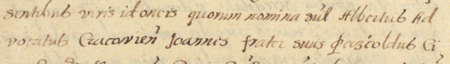 Fragment kopii dokumentu wystawionego 25 maja 1299 roku przez kasztelana Wierzbiętę
(oryginał nie zachował się, dokument został oblatowany w księdze grodzkiej 19 czerwca 1581 roku z zapisem wskazującym,
że wśród świadkujących osób byli Albertus aduocatus cracouiensis, Iohannes frater suus –
Albert wójt krakowski, Jan brat – oraz powiększenie zapisu imienia i braterskiego pokrewieństwa
(Archiwum Państwowe w Krakowie, sygn. Castr. Crac., rel. 8, s. 203–204)
