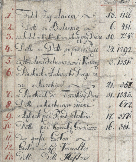 Z Archiwum Wolnego Miasta Krakowa plan Prądnika Białego wraz z Górką Narodową, niedatowany, wyrysowany w przedziale
lat 1805–1825; plan ten ukazuje zróżnicowanie własności gruntów białoprądnickich – mapa weszła do zasobu Komisji Włościańskiej
Wolnego Miasta Krakowa prowadzącej prace przygotowujące uwłaszczenie chłopów – oraz powiększenie fragmentu legendy
(Archiwum Narodowe w Krakowie, sygn. 29/200/36)