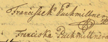 Z Archiwum Siedliszowickiego Załuskich: kontrakt z 1785 roku na wynajem mieszkania zawarty między starościną ojcowską
Marianną z Dembińskich Załuską a właścicielami domu w Podgórzu, Franciszkiem Buchmillerem, burmistrzem, i jego
żoną Franciszką – oraz zbliżenie podpisów (Archiwum Narodowe w Krakowie, sygn. ASZ 29, s. 153)