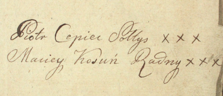 (Archiwum Narodowe w Krakowie, sygn. WMK IX-29, nlb.)