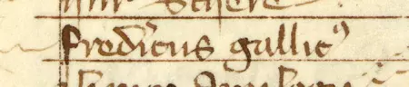 Z „Najstarszej księgi” strona 160 z wpisem z wykazem rajców powołanych do rady miejskiej
na 1343 rok, wśród których został wymieniony Fryderyk Gallik – oraz powiększenie zapisu imienia
(Archiwum Państwowe w Krakowie, sygn. rkps 1, s. 160)