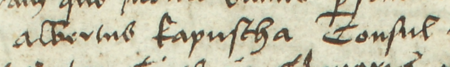 Z księgi miejskiej ławniczej Kleparza obejmującej lata 1499–1528: fragment wpisu z 1503 roku dokumentującego
sprawę przed ławą miejską z udziałem Wojciecha Kapusty, rajcy kleparskiego – zbliżenie zapisu imienia i urzędu
(Archiwum Narodowe w Krakowie, sygn. KL 1, s. 57)