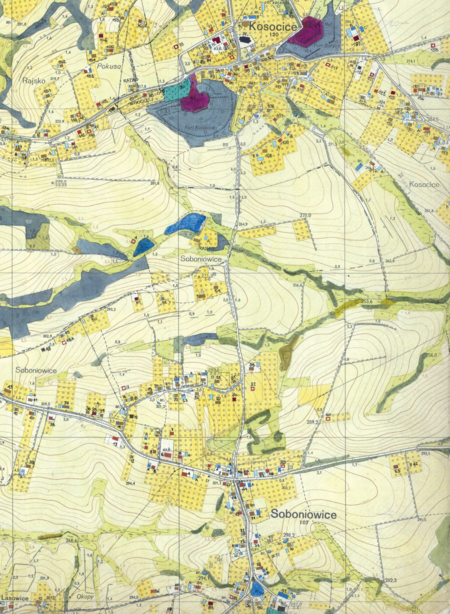 Z dokumentacji Biura Rozwoju Krakowa dotyczący wsi Soboniowice fragment sporządzonej w 1968 roku
Inwentaryzacji bezpośredniej użytkowania terenu i budynków dla Gromady Rajsko
(Archiwum Narodowe w Krakowie, sygn. 29/1405/2330)