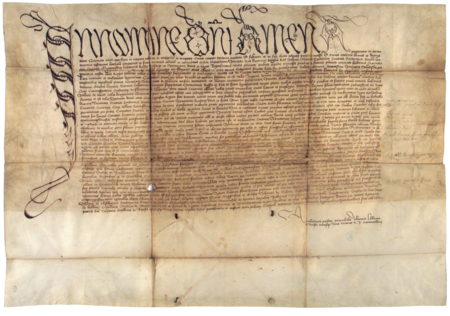 Dokument wydany w 1456 roku w Krakowie przez Kazimierza Jagiellończyka, w którym król przytoczył i potwierdził akt wydany 25 czerwca
1366 roku w Krakowie przez Kazimierza Wielkiego, lokującego miasto Kleparz na prawie magdeburskim i nadającego mu nazwę „Florencja”; ten akt
lokacji potwierdzony został w 1420 roku przez Władysława Jagiełłę, jednak przywołane dokumenty z lat 1366 i 1420 nie zachowały się, zatem dokument
z 1456 roku jest najstarszym znanym pergaminem zawierającym tekst przywileju lokacyjnego (Archiwum Narodowe w Krakowie, sygn. perg. 256)